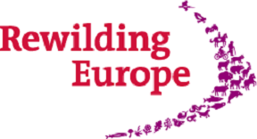 Thanks to Rewilding Europe