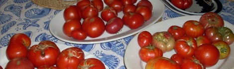 Summer Tomatoes (CC 3.0 Bobbie Faul-Zeitler)